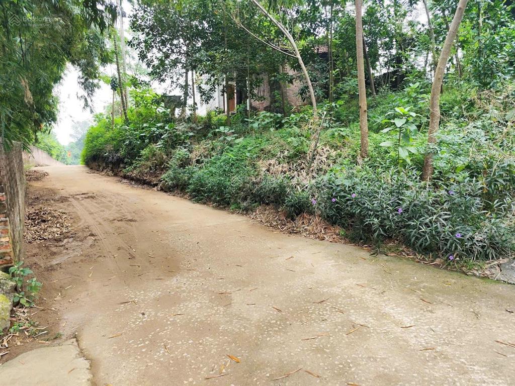 Tôi cần bán lô đất nghỉ dưỡng hơn 2000m2, view thẳng cánh đồng và đồi núi. mặt tiền tới 56m