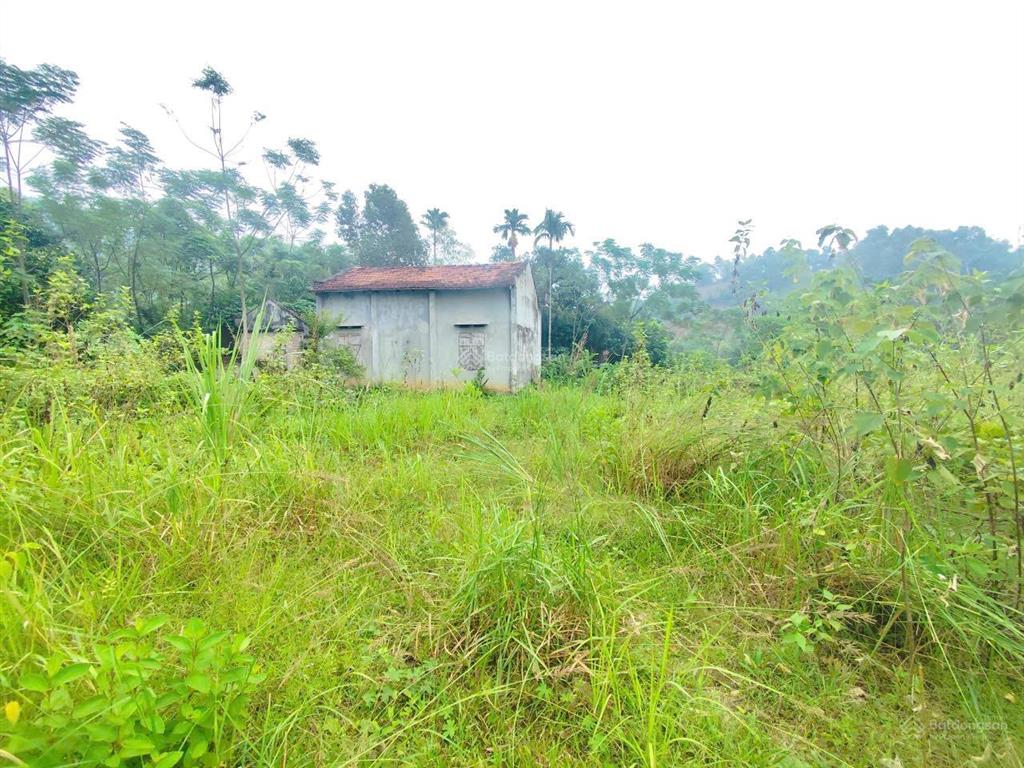 Tôi cần bán lô đất nghỉ dưỡng hơn 2000m2, view thẳng cánh đồng và đồi núi. mặt tiền tới 56m