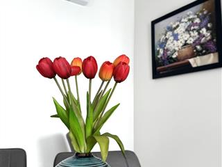 Cho thuê ch central premium 854 tạ quang bửu, q8.2pn, full căn góc. 0901 341 *** phương