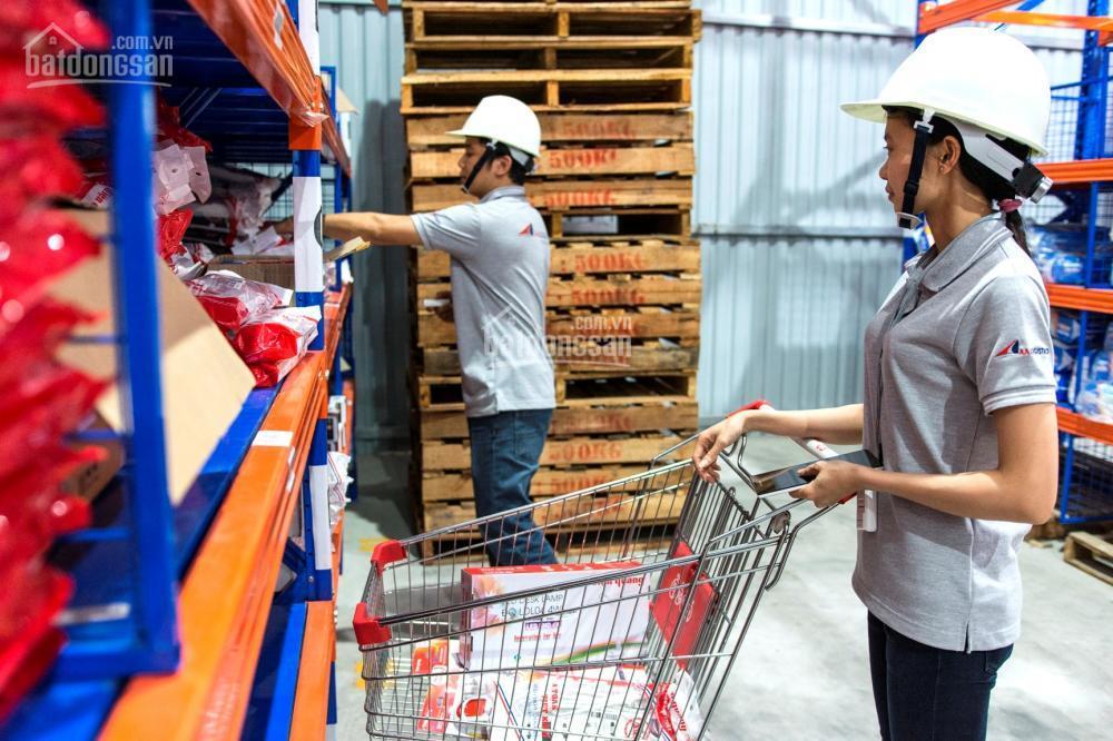 Kho hàng dt tổng 1500m2 ở trung tâm hcm, có kho mát, kho thường có kệ để hàng sỉ lẻ mỹ phẩm tmđt