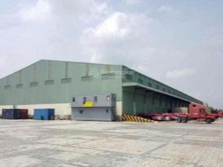 Cho thuê kho 5000m2 tự vận hành, có pccc tự động, khuôn viên rộng