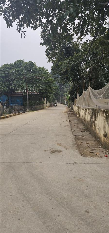 311m2 lô mặt tiền mở rộng tai xóm liên khuê xã cư yên lương sơn hòa bình