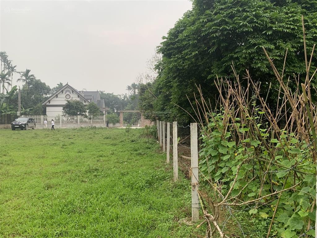 Bán đất nghỉ dưỡng đẹp, phù hợp xây nghỉ dưỡng hoặc ngôi nhà thứ 2