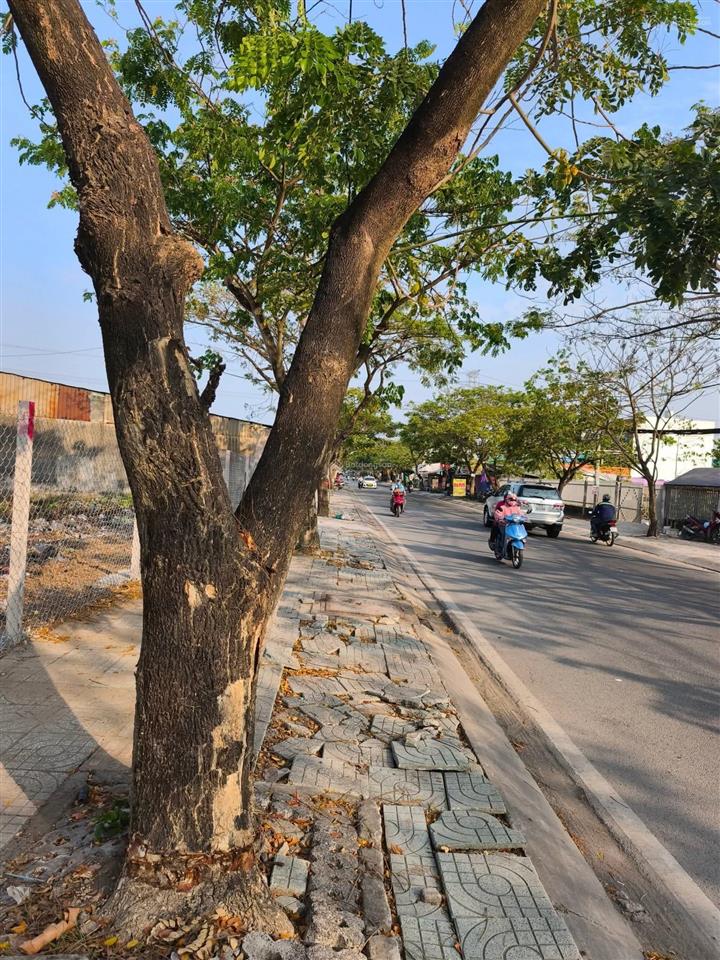 Gấp gấp trả giá là bán đầu tư mời gọi đất tại nguyễn bình, nhơn đức, nhà bè, hcm, 49.5tỷ, 5788 m2