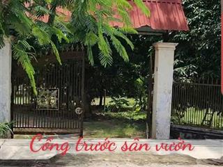 Đất 2 mặt tiền Đường Nguyễn Thị Lèn, Xã Trung An (nay là xã Bình Mỹ) Huyện Củ Chi
