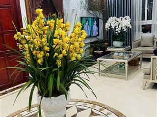 Tôi chính chủ cần bán căn hộ 130m2 tại ct3a mễ trì thượng, giá thiện trí, 3pn, 2wc, nội thất đầy đủ