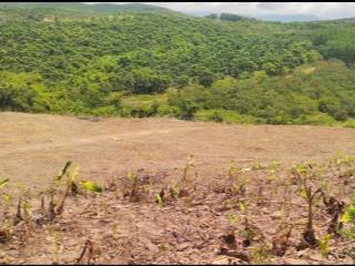 Bán lô đất view đẹp như đà lạt  9000m2  giá chỉ 800 triệu  sổ hồng riêng