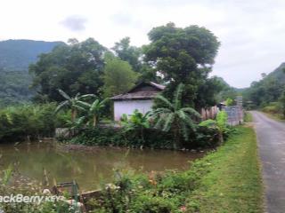 Siêu phẩm bám đường tỉnh lộ cực đẹp đi khu dl bakhan tân lạc hòa bình giá rẻ chỉ 600tr