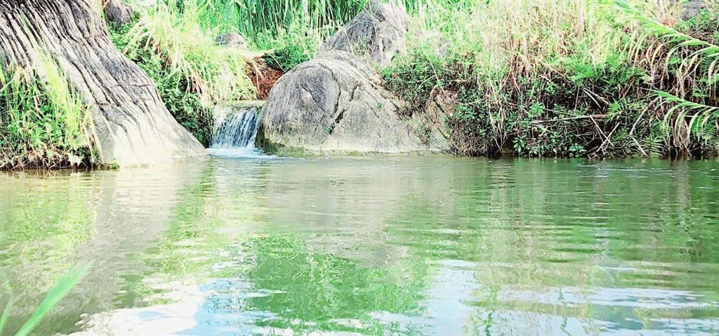 Chính chủ cần bán 1333m view tuyệt đẹp cánh đồng bao quanh thơ mộng tân lạc hòa bình