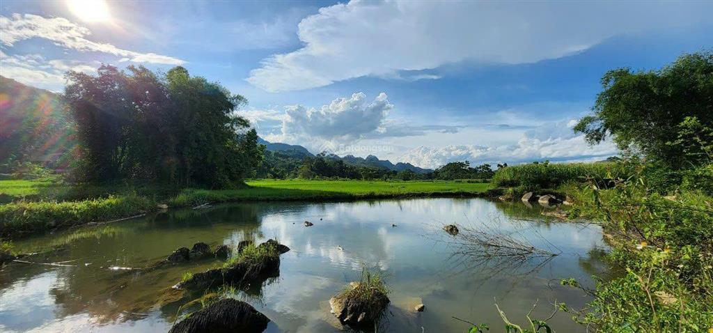 Chính chủ cần bán 1333m view tuyệt đẹp cánh đồng bao quanh thơ mộng tân lạc hòa bình