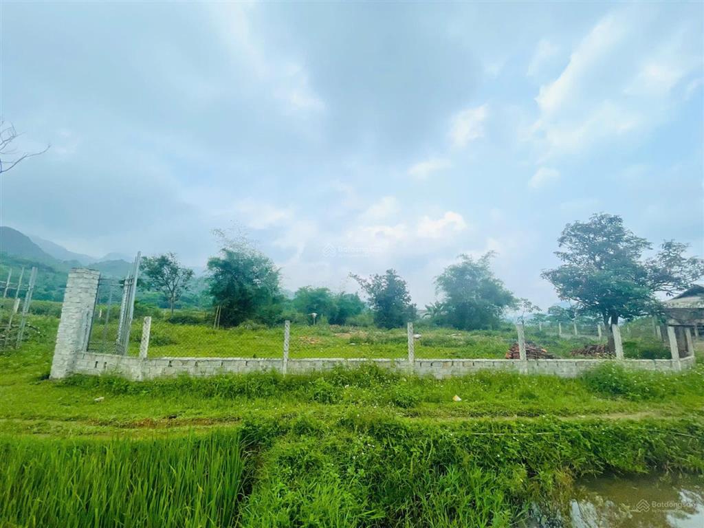 Chính chủ cần bán 1333m view tuyệt đẹp cánh đồng bao quanh thơ mộng tân lạc hòa bình