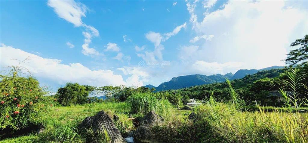 Chính chủ cần bán 1333m view tuyệt đẹp cánh đồng bao quanh thơ mộng tân lạc hòa bình