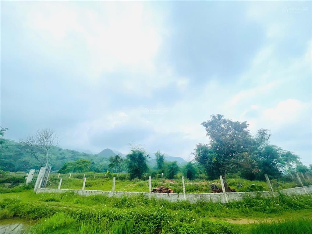 Chính chủ cần bán 1333m view tuyệt đẹp cánh đồng bao quanh thơ mộng tân lạc hòa bình