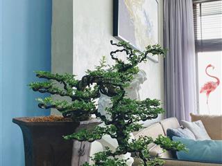 Chuyển chỗ ở cần bán căn hộ la astoria 2, 2pn, 1wc, full nt đẹp mới, giá 3.5 tỷ bao thuế phí!