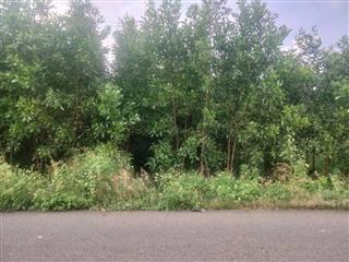 Mặt tiền Mỹ Xuân Tóc Tiên, Phú Mỹ, Vũng Tàu 14*80:40Tc, chỉ 3.9T