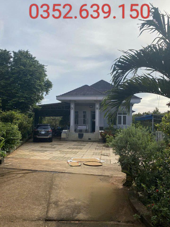 Biệt Thự Nhà Vườn VIP, gần Chợ Sông Xoài, Phú Mỹ, 6000M2, 100Tc chỉ 20 Tỷ