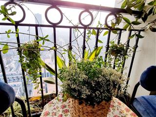 Tôi cần bán căn ecolife tố hữu, 95m2, 3 ngủ 2 vệ sinh, full nội thất đẹp, tầng trung, view thoáng