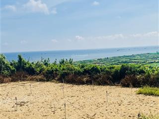 Quangvinh chào bán lô đất vườn view biển 93m2 giá 69tr/lô.lưng tựa núi view hướng biển đẹp nhất đảo