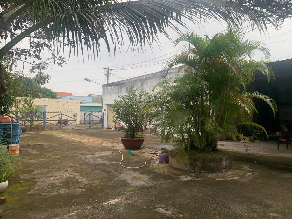 Cho thuê kho xưởng 2.100m2 cần giuộc. hệ thống pccc, điện bình sản xuất