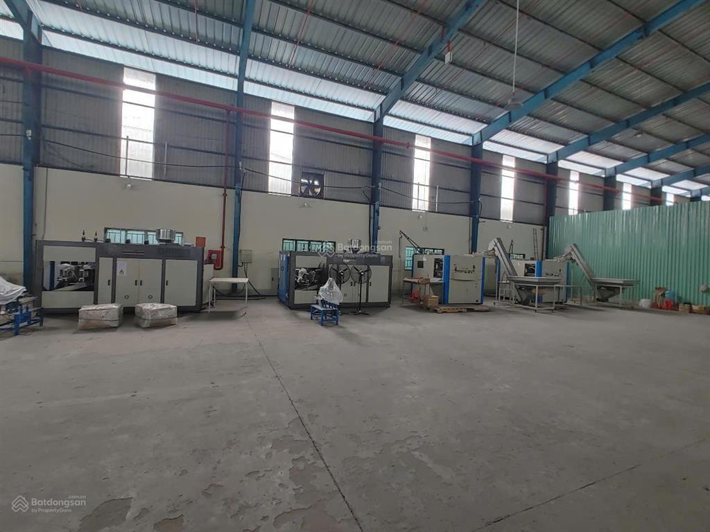 Cho thuê kho xưởng 3.300m2, kv 5.600m2, hệ thống pccc tự động