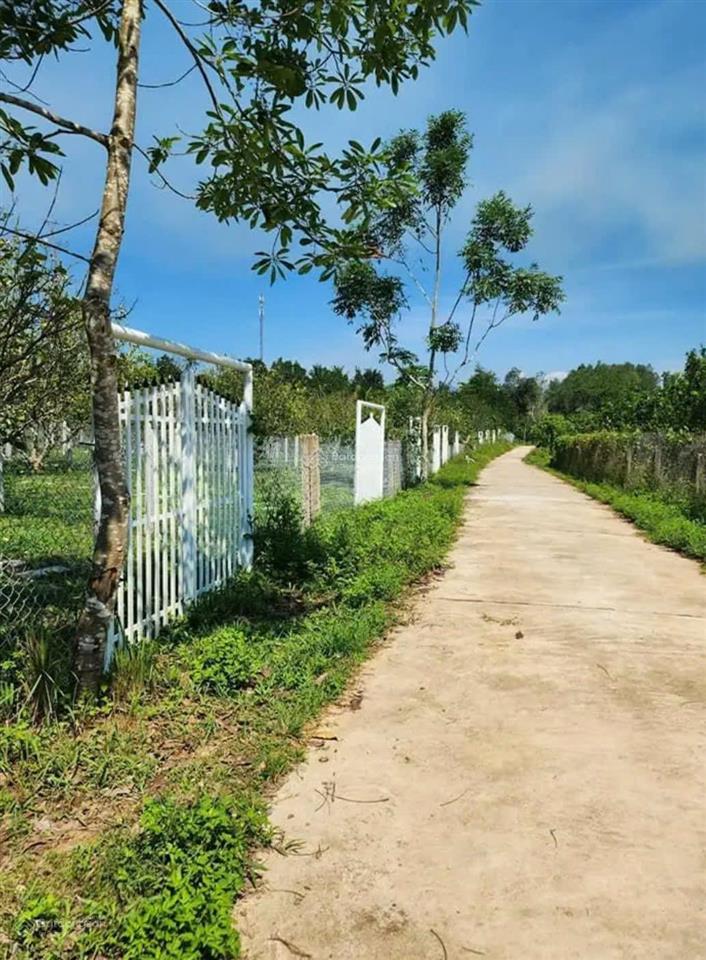 270m2 toàn bộ đất ở ngang 5m, đường ô tô, bán 390 triệu khánh đông, khánh vĩnh