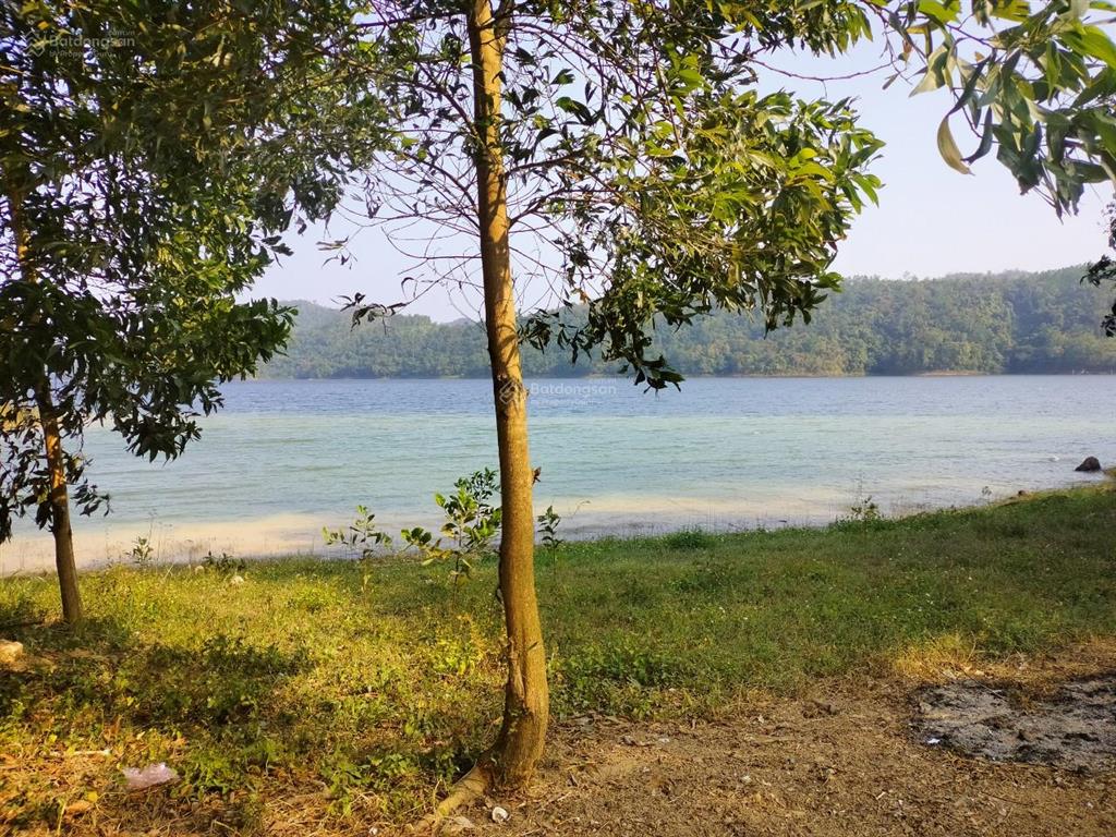 Bán resort trang trại hồ cấm sơn, chi lăng và cấm sơn bắc giang