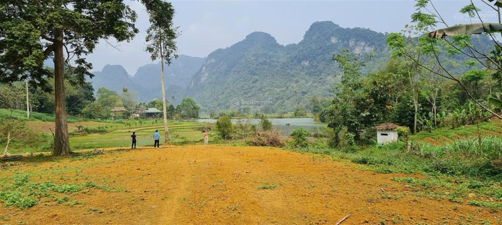 1400m2 có 200m2 thổ cư, view hồ hoa súng đẹp tại phú vinh tân lạc hòa bình, ô tô vào tận đất