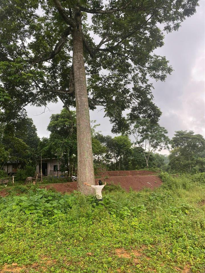 1400m2 có 200m2 thổ cư, view hồ hoa súng đẹp tại phú vinh tân lạc hòa bình, ô tô vào tận đất