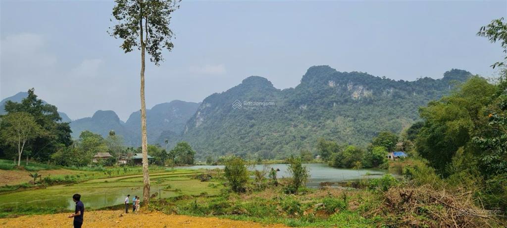 1400m2 có 200m2 thổ cư, view hồ hoa súng đẹp tại phú vinh tân lạc hòa bình, ô tô vào tận đất