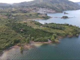 Tìm mua bán & săn đất fo view nghỉ dưỡng giá fo. đất gần quốc lộ 600m, đất ôm hồ, có nguồn thu