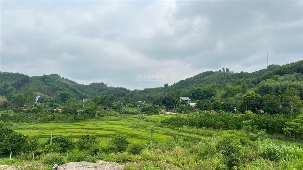 Bán gấp trước tết 1555m2 đất trung tâm thị trấn mãn đức, tân lạc, hòa bình, sẵn sổ 5 lô