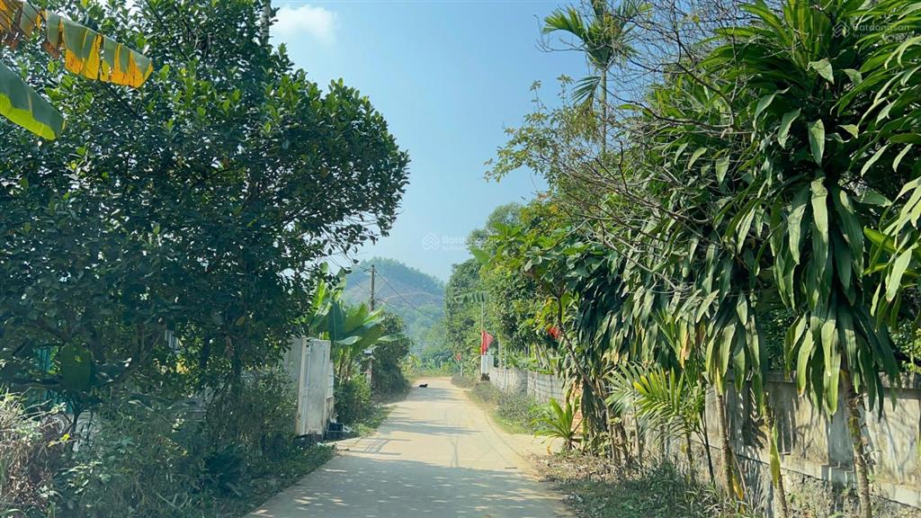 Bán gấp trước tết 1555m2 đất trung tâm thị trấn mãn đức, tân lạc, hòa bình, sẵn sổ 5 lô