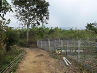 Bán gấp 1579m2 đất vườn tại hợp phong  cao phong  hòa bình, giá hơn 300 nghìn/m2