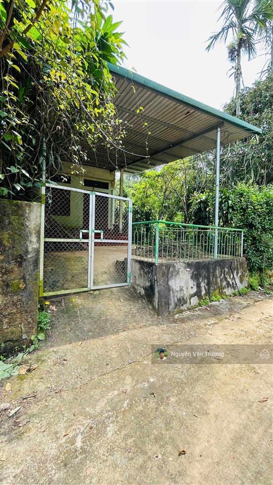 Bán 185m² đất ở trung tâm bãi nai  mông hóa giá 920 triệu, cách kcn mông hóa 1km
