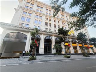 Cát linh  đống đa siêu phẩm 7 tầng thang máy dòng tiền khủng, vị trí cực đẹp, chủ cần bán gấp