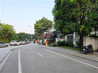 Vinhomes riverside long biên chính chủ cần bán gấp biệt thự sang chảnh đẳng cấp giá rẻ nhất khu vực