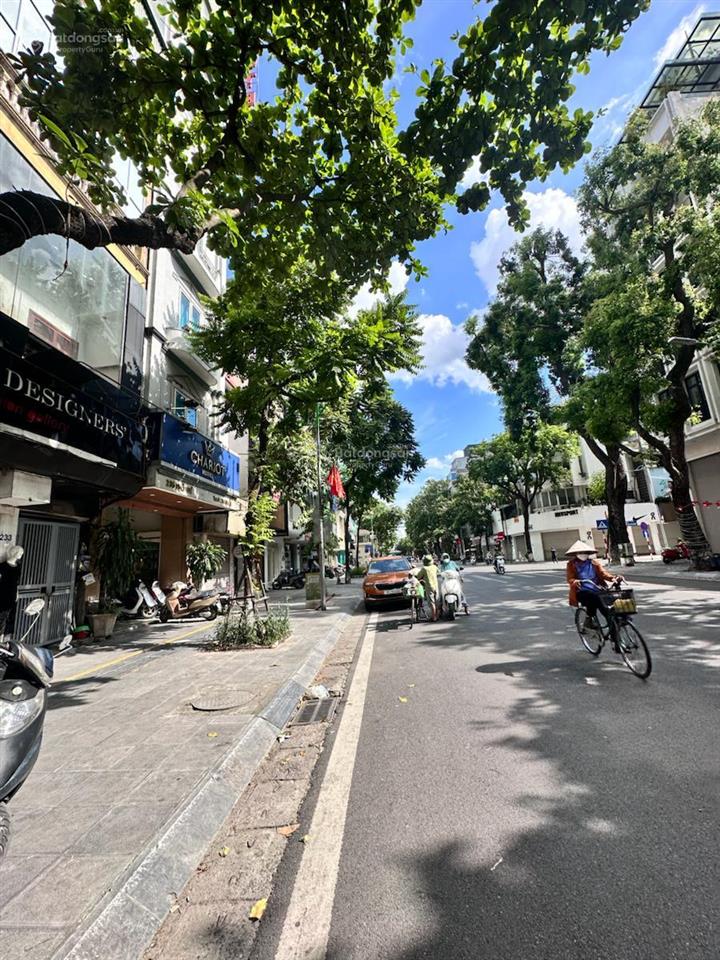 Phố huế nhà diện tích rộng mặt tiền siêu khủng, vị trí siêu đắc địa. xây toà văn phòng đẹp đẳng cấp