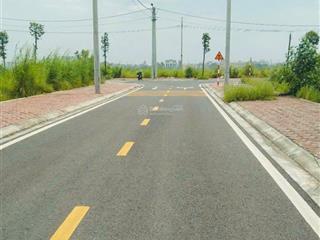Chỉ có 59tr/m2 (giá đầu tư) đất đấu giá tại trạch mỹ lộc  phúc thọ  dt 116m2