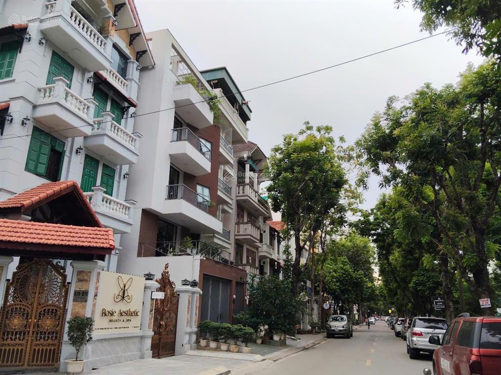 Bán nhà biệt thự mặt phố bùi xuân phái mỹ đình dt128mx5tx7m mt giá 54,5 tỷ kd sầm uất dòng tiền tốt