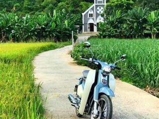 Bán đất vườn trên + hơn 500 cây mai lớn