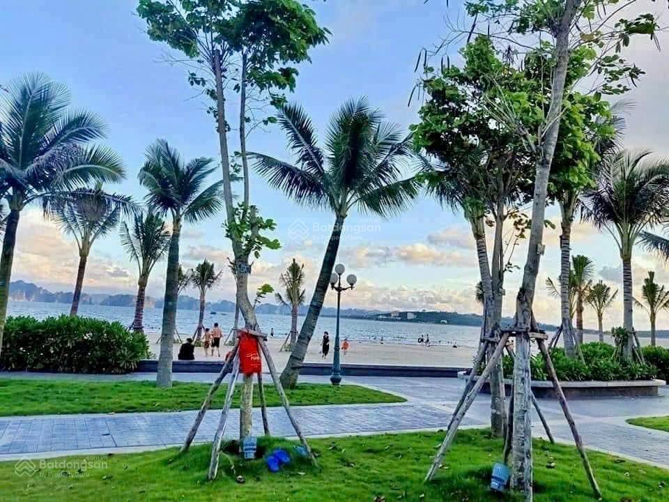Cắt lỗ 200tr căn hộ view biển full nội thất sẵn sổ đỏ dòng tiền 10001200k/ngày