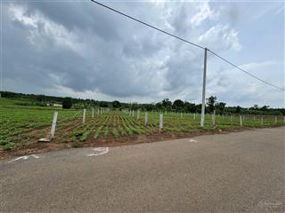 Chính chủ bán lô đất đá bạc châu đức. diện tích 113m2. đầu tư cực tốt