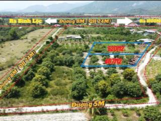 2 lô liền kề suối tiên full thổ cư cách hương lộ 39 chỉ 800m ngang 20m siêu đẹp giá 3.7tr/m2
