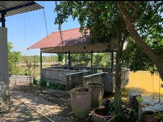 Bán ~1ha đất xây dựng nhà máy, xưởng, có mặt tiền sông, nằm trên trục đường 869
