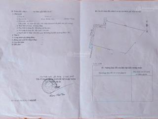 Bán đất lộc thành, đất đỏ trồng full cao su