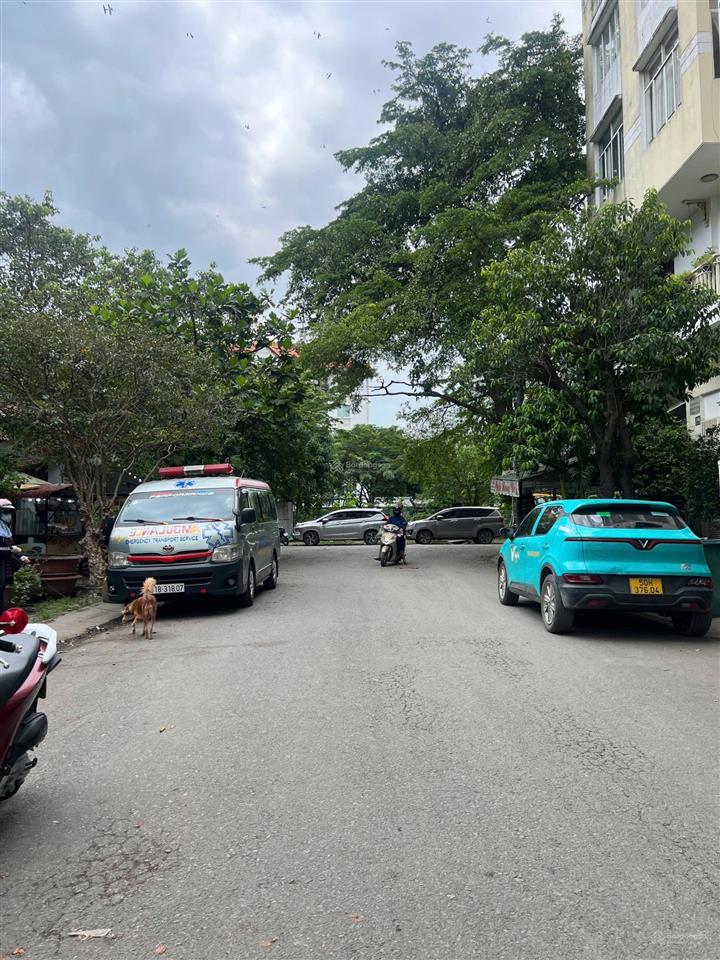 Bán biệt thự góc 2mt, dt 12 x20m, có hầm 2 lầu, kdc cao lỗ p4 q8