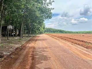 Chính chủ bán đất tân hoà  đồng phú , dt 1000m2 giá chỉ 290tr , shr