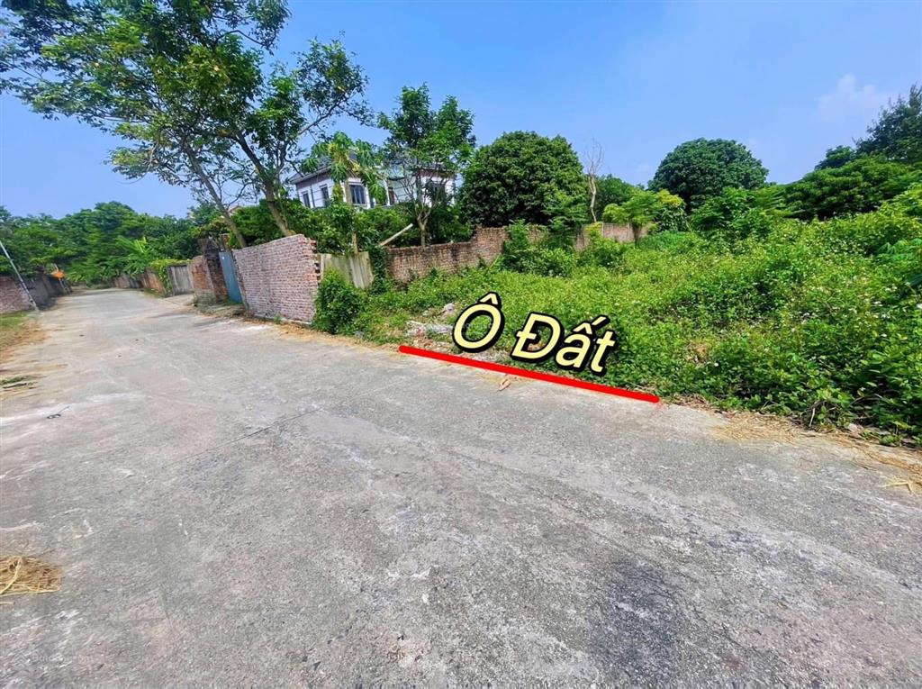 Chính chủ bán gấp lô đất hoàng hoa cách kcn tam dương 2 chỉ 2km 124,3m mt5m đường ô tô tránh 990tr