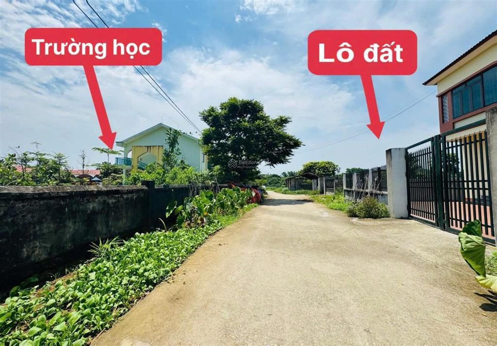 Chính chủ bán gấp lô đất cạnh trường học hồ sơn, tam đảo 94m mt 6,95m đường ôtô 9xxtr 0988296228