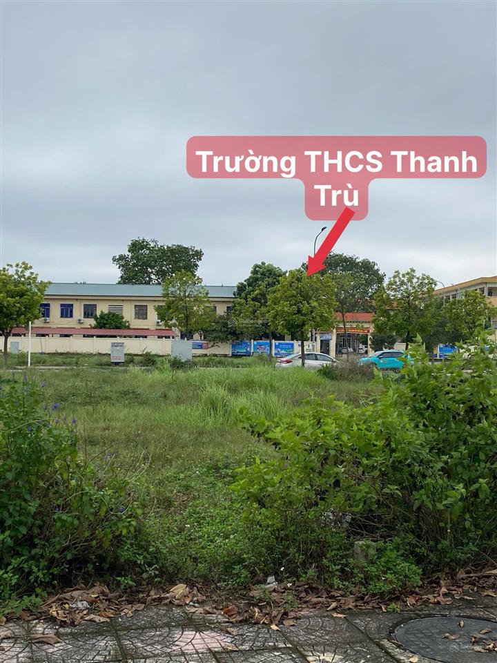 Chính chủ bán gấp lô đất đẹp kđt nam vĩnh yên đối diện trường thcs thanh trù và vinhomes vp 3,78 tỷ